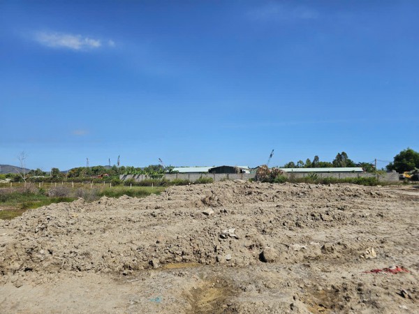 TP.HCM: Truy tìm nhiều xe ben chở bùn, chất thải xây dựng san lấp trái phép TP.HCM: Truy tìm nhiều xe ben chở bùn, chất thải xây dựng san lấp trái phép