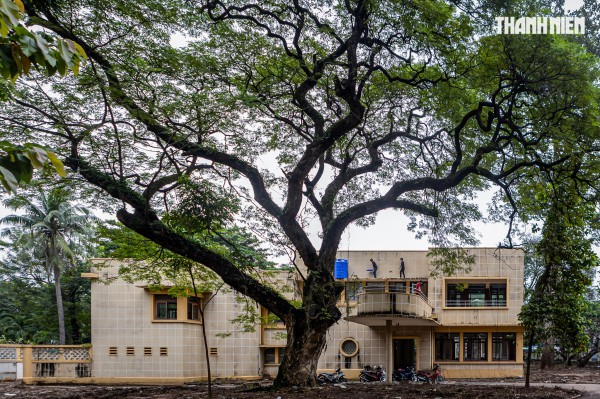 TP.HCM tất bật dọn 'đất vàng' để xây công viên và đài tưởng niệm nạn nhân Covid-19 TP.HCM tất bật dọn 'đất vàng' để xây công viên và đài tưởng niệm nạn nhân Covid-19