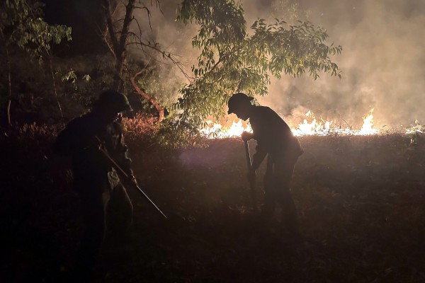 TP.Huế: Phát hiện thi thể chủ vườn tràm trong vụ cháy rừng sản xuất