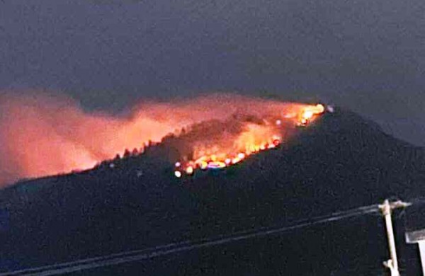 TP.Đà Nẵng: Đám cháy tái bùng phát sau khi dập tắt, thiêu rụi 2 ha rừng keo TP.Đà Nẵng: Đám cháy tái bùng phát sau khi dập tắt, thiêu rụi 2 ha rừng keo