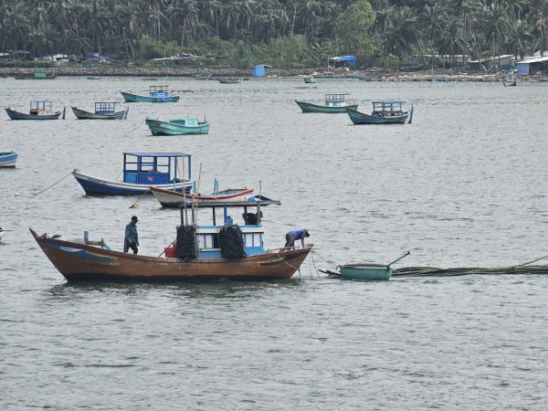 Tái thiết vùng rốn lũ: Thủ phủ tôm hùm hồi sinh Tái thiết vùng rốn lũ: Thủ phủ tôm hùm hồi sinh