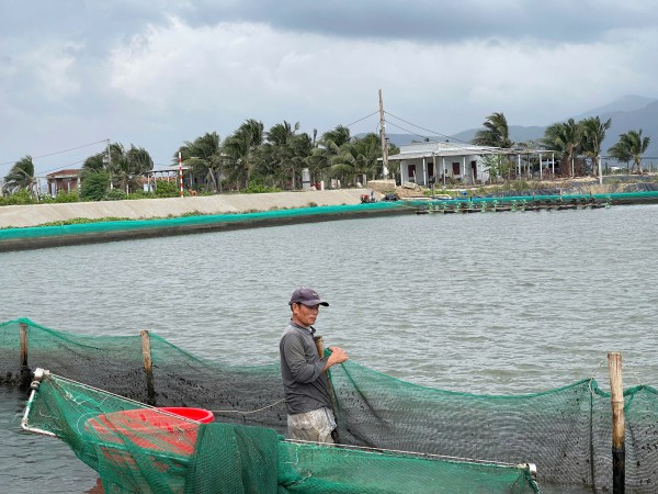 Tái thiết vùng rốn lũ: Vá lại tàu thuyền, trở lại nhịp sống mưu sinh Tái thiết vùng rốn lũ: Vá lại tàu thuyền, trở lại nhịp sống mưu sinh