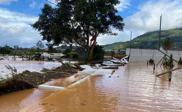 Tan hoang 'thủ phủ' hoa lay ơn Tan hoang 'thủ phủ' hoa lay ơn
