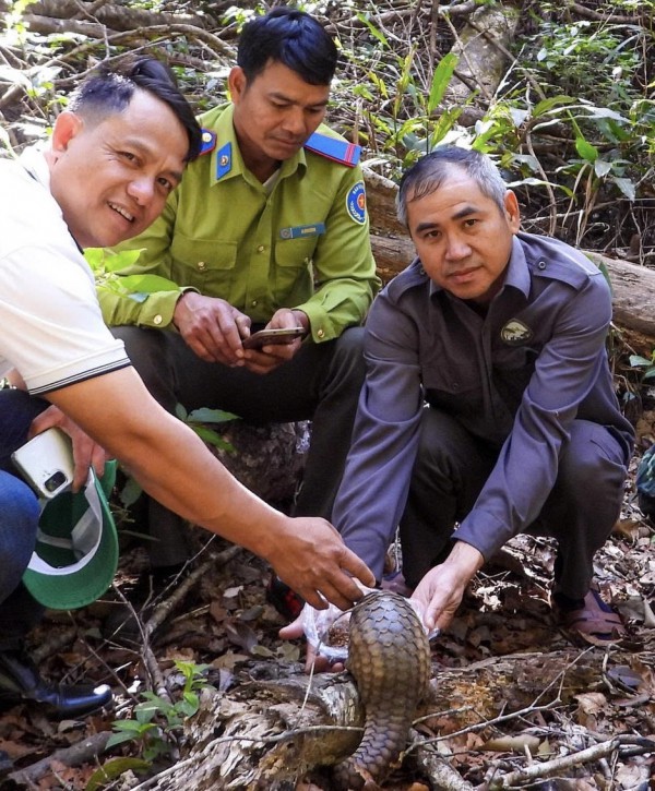 Thả động vật quý hiếm về Vườn Quốc gia Kon Ka Kinh