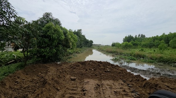 Thâm nhập 'đại công trường' san lấp trái phép: San lấp vô tội vạ