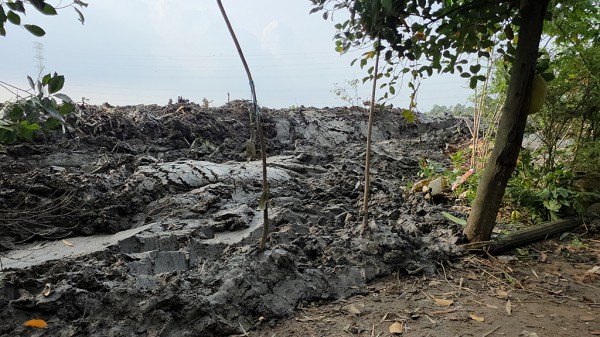 Thâm nhập 'đại công trường' san lấp trái phép: San lấp vô tội vạ