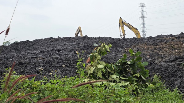 Thâm nhập 'đại công trường' san lấp trái phép: San lấp vô tội vạ