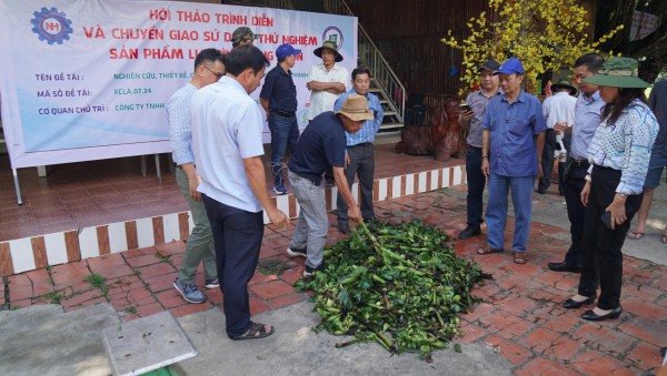 Thân phận lục bình Nam bộ: Ai cũng muốn 'xử' lục bình Thân phận lục bình Nam bộ: Ai cũng muốn 'xử' lục bình