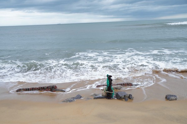 Thần tốc hồi sinh 1.200 mái nhà trước tết