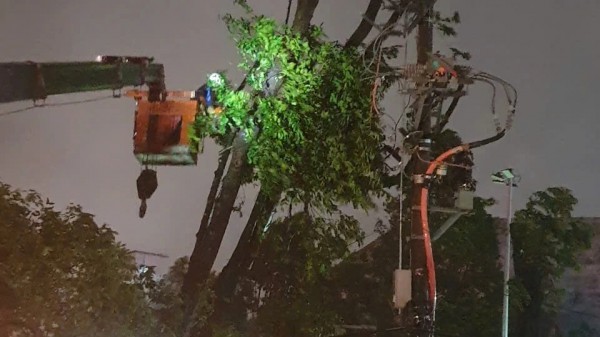 Thanh Hóa: Gần 334.000 hộ mất điện do mưa bão Thanh Hóa: Gần 334.000 hộ mất điện do mưa bão