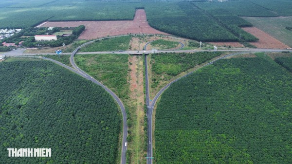 Thành phố Đồng Nai thu hồi 4.300 ha đất cao su cho các dự án trọng điểm