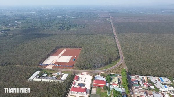 Thành phố Đồng Nai thu hồi 4.300 ha đất cao su cho các dự án trọng điểm
