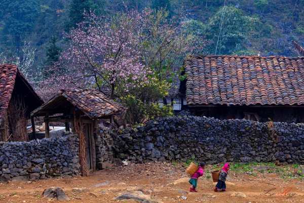 Thành phố ở Việt Nam: Hà Giang giữa mây và đá