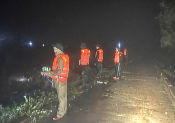 Thêm 2 tàu cá gặp nạn trên vùng biển Quảng Trị, 9 thuyền viên mất tích Thêm 2 tàu cá gặp nạn trên vùng biển Quảng Trị, 9 thuyền viên mất tích