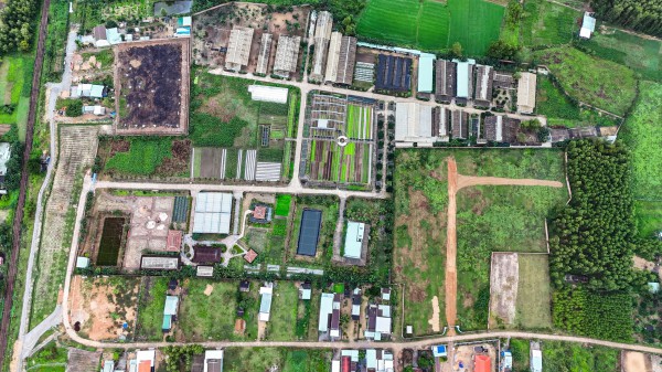 Thu hồi dự án rau an toàn biến tướng Thu hồi dự án rau an toàn biến tướng