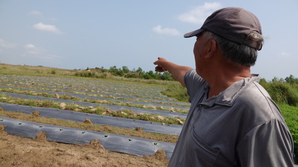 Thu hồi hàng chục dự án đầu tư chậm tiến độ ở Quảng Ngãi