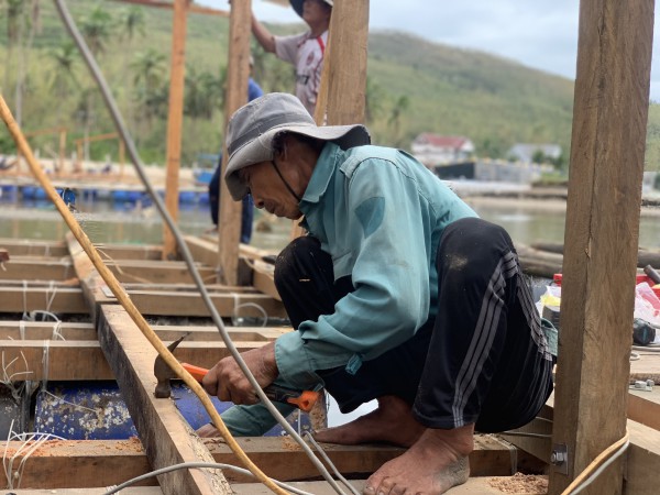 Thủ phủ tôm hùm nỗ lực hồi sinh sau lũ Thủ phủ tôm hùm nỗ lực hồi sinh sau lũ