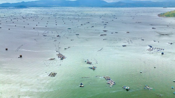 Thủ phủ tôm hùm nỗ lực hồi sinh sau lũ Thủ phủ tôm hùm nỗ lực hồi sinh sau lũ