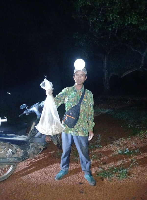 Thú săn ‘lộc trời’ nấm mối: May rủi, hiểm nguy và cuộc cạnh tranh thầm lặng Thú săn ‘lộc trời’ nấm mối: May rủi, hiểm nguy và cuộc cạnh tranh thầm lặng