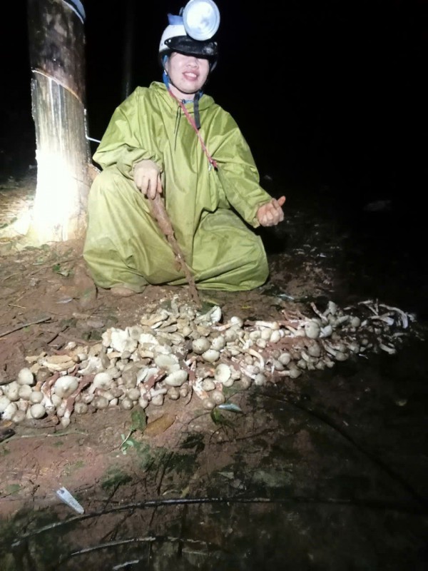 Thú săn ‘lộc trời’ nấm mối: May rủi, hiểm nguy và cuộc cạnh tranh thầm lặng Thú săn ‘lộc trời’ nấm mối: May rủi, hiểm nguy và cuộc cạnh tranh thầm lặng