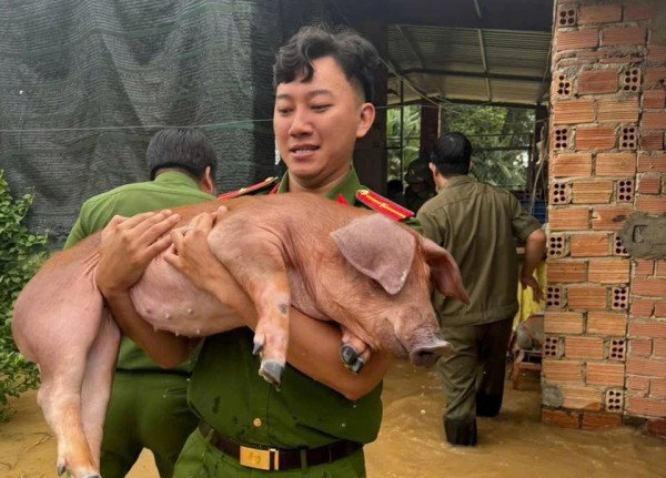 Thủy điện Đồng Nai 5 phản hồi khi xã nói 'không nhận được thông báo xả lũ'