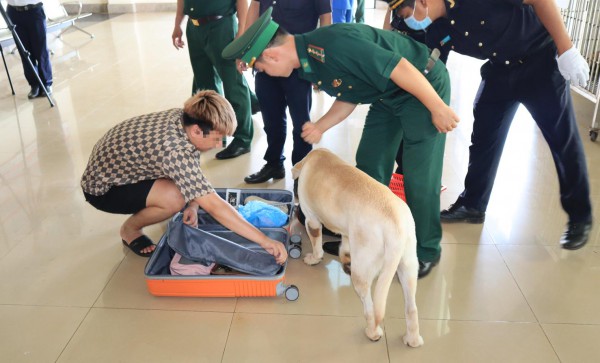 Tiếp nhận 64 công dân Việt Nam chạy thoát khỏi cơ sở lừa đảo trực tuyến Tiếp nhận 64 công dân Việt Nam chạy thoát khỏi cơ sở lừa đảo trực tuyến