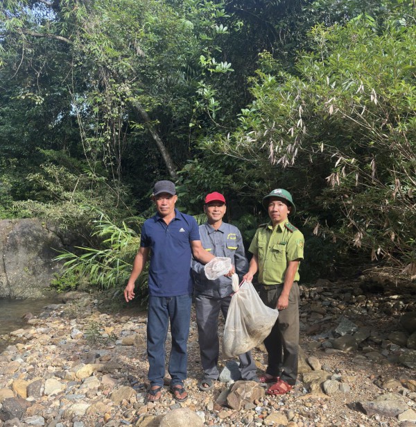 Trăn gấm vào vườn nhà người dân ở Huế, tấn công gà, vịt Trăn gấm vào vườn nhà người dân ở Huế, tấn công gà, vịt