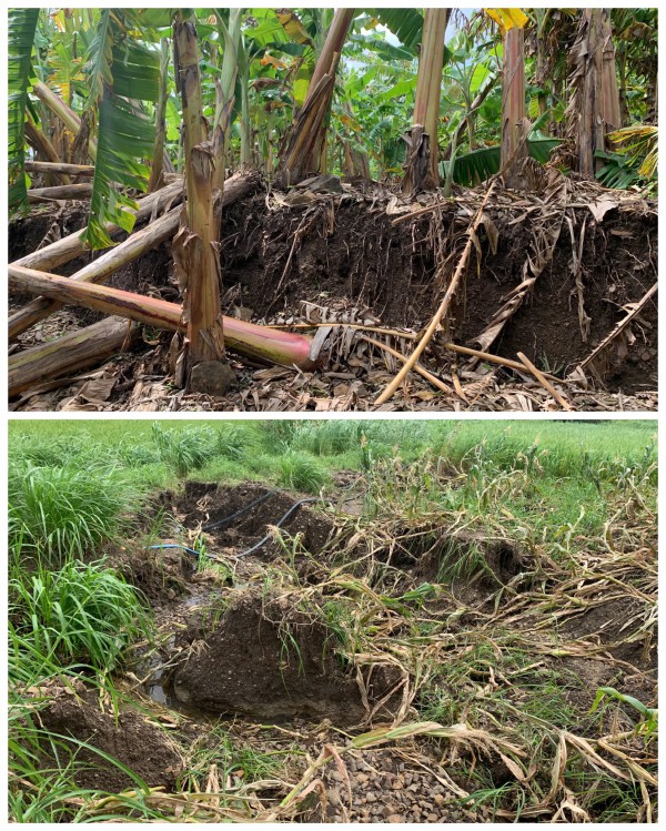 Trước bão số 15: Đắk Lắk khẩn cấp di dời 13 hộ dân do sạt lở núi