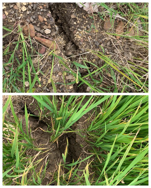 Trước bão số 15: Đắk Lắk khẩn cấp di dời 13 hộ dân do sạt lở núi