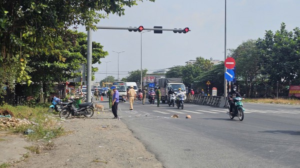 Truy tìm ô tô liên quan vụ cụ bà bị cán tử vong gần cầu Mỹ Thuận Truy tìm ô tô liên quan vụ cụ bà bị cán tử vong gần cầu Mỹ Thuận