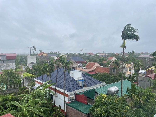 Từ 1.1.2026, chuyển đất vườn, ao sang đất ở, tính tiền sử dụng đất thế nào? Từ 1.1.2026, chuyển đất vườn, ao sang đất ở, tính tiền sử dụng đất thế nào?