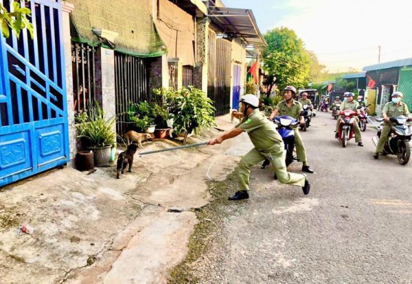 Tử vong vì chủ quan với chó nhà Tử vong vì chủ quan với chó nhà
