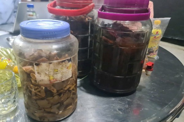 Uống rượu ngâm rễ cây, 6 người bị ngộ độc nặng