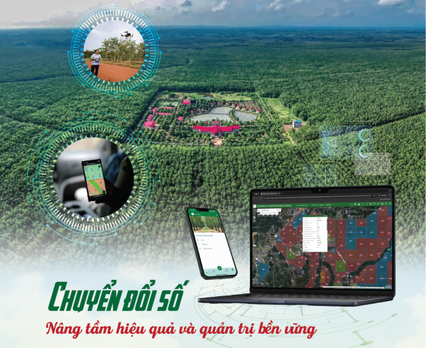 VRG đẩy mạnh chuyển đổi số, hướng tới ngành cao su hiện đại
