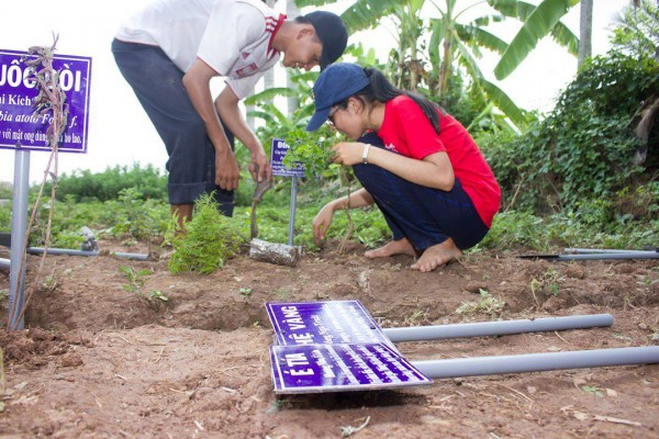 Việc làm xanh: Giấc mơ vườn rừng và lý tưởng sống vì nền nông nghiệp sạch