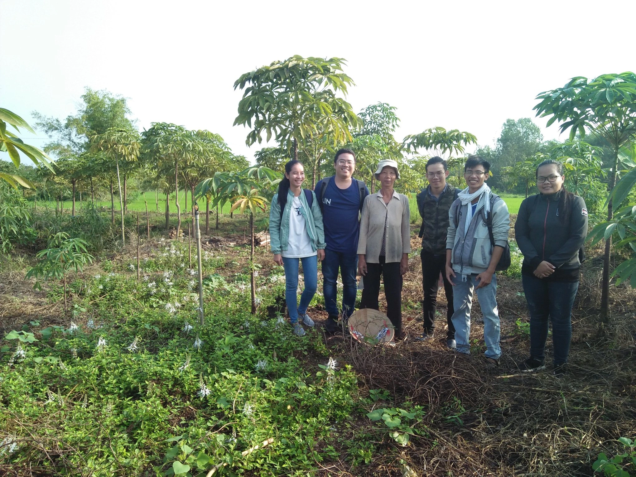 Việc làm xanh: Giấc mơ vườn rừng và lý tưởng sống vì nền nông nghiệp sạch