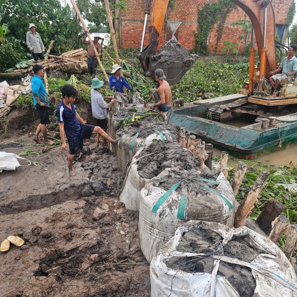 Vĩnh Long: Triều cường làm sạt lở đê bao, ảnh hưởng hàng trăm ha cây ăn trái Vĩnh Long: Triều cường làm sạt lở đê bao, ảnh hưởng hàng trăm ha cây ăn trái