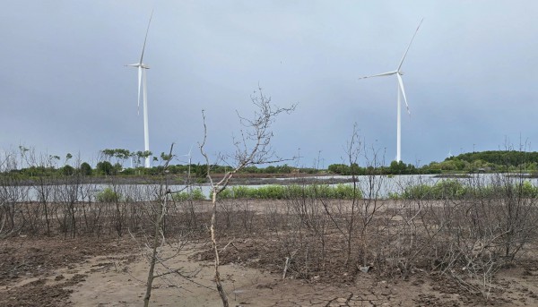 Vĩnh Long thành lập Hội đồng giải quyết vấn đề tại Dự án Điện gió Thanh Phong Vĩnh Long thành lập Hội đồng giải quyết vấn đề tại Dự án Điện gió Thanh Phong