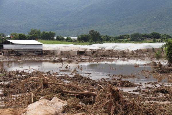 Vỡ hồ chứa nước ở Tuy Phong: Dự án nằm trên đất rừng hay đất nông nghiệp? Vỡ hồ chứa nước ở Tuy Phong: Dự án nằm trên đất rừng hay đất nông nghiệp?