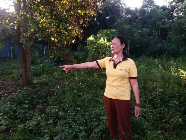 Vụ 300 m2 đất đóng thuế gần 4,5 tỉ đồng: Xử lý hồ sơ chậm, do đâu? Vụ 300 m2 đất đóng thuế gần 4,5 tỉ đồng: Xử lý hồ sơ chậm, do đâu?