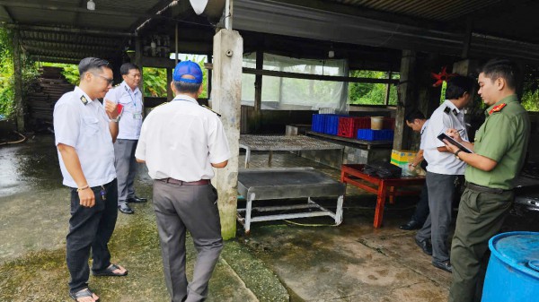 Vụ Công ty C.P bị tố 'bán thịt bẩn': Kiểm tra lò giết mổ ở Sóc Trăng Vụ Công ty C.P bị tố 'bán thịt bẩn': Kiểm tra lò giết mổ ở Sóc Trăng