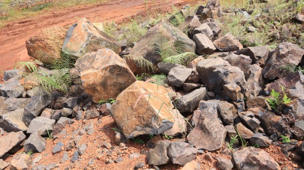 Vụ khai thác khoáng sản trái phép ở xã Bom Bo: 'Mỏ đá'  nằm trong lâm phần