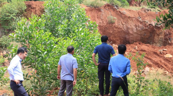 Vụ khai thác khoáng sản trái phép ở xã Bom Bo: 'Mỏ đá'  nằm trong lâm phần