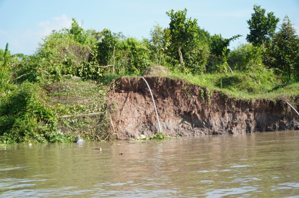 Vụ sạt lở cù lao Minh: 13 nhà, 15 ha đất rơi xuống sông Cổ Chiên