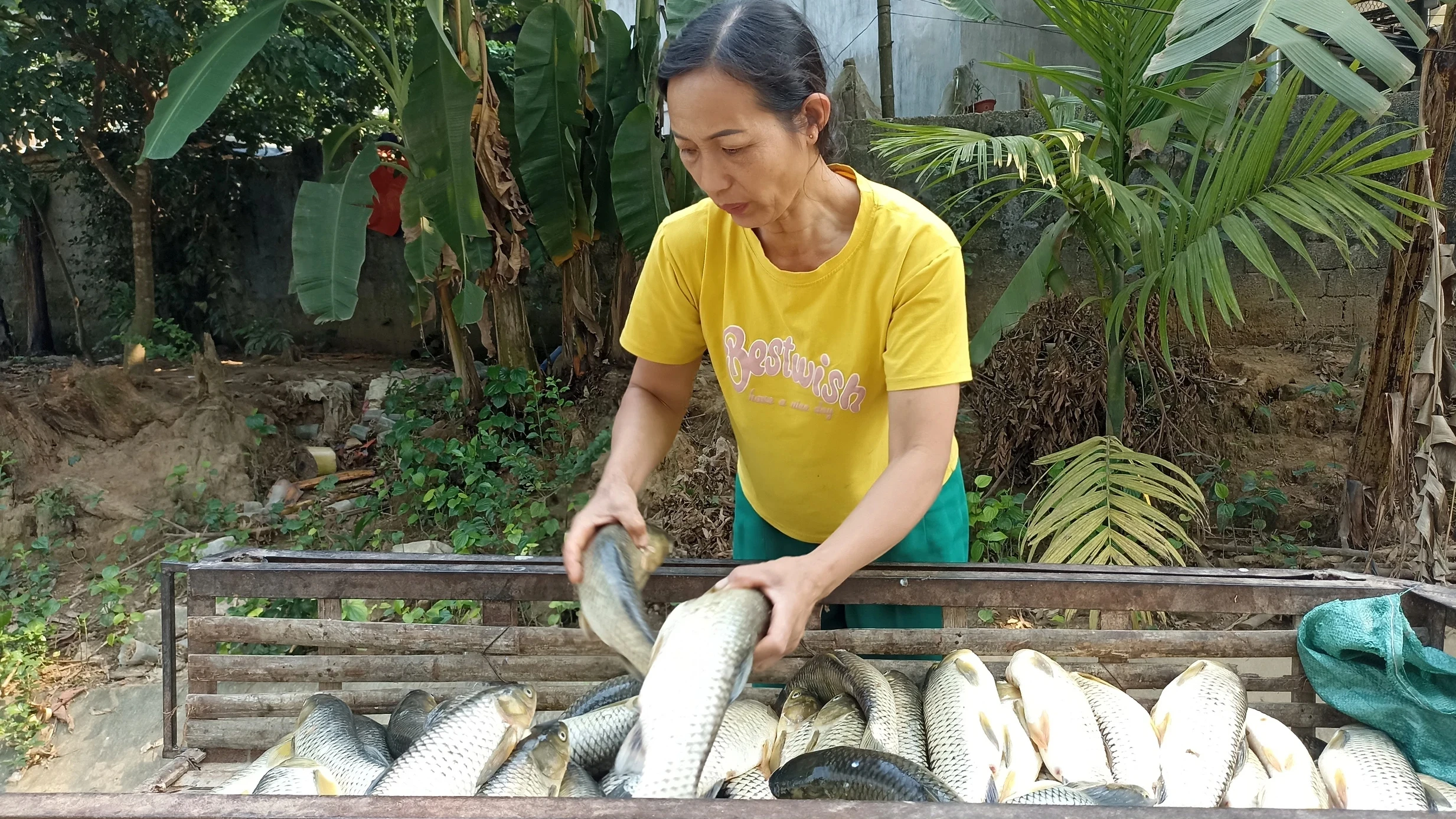 Vụ sông Mã bị ô nhiễm: Thanh Hóa xác minh thông tin Báo Thanh Niên phản ánh