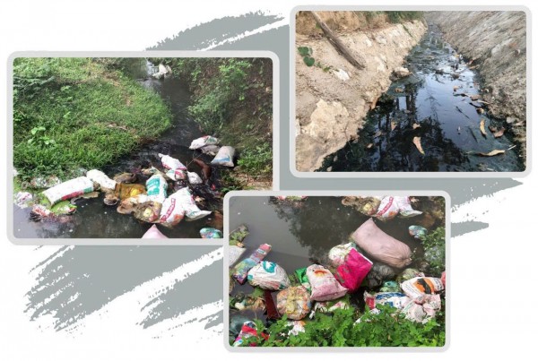 Xanh lại suối làng