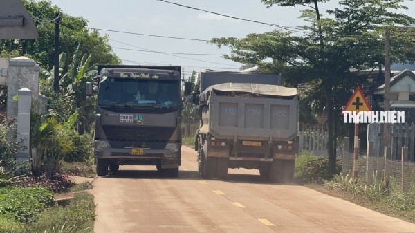 Xe tải chở đất tung hoành, người dân 'thấp thỏm' khi ra đường Xe tải chở đất tung hoành, người dân 'thấp thỏm' khi ra đường