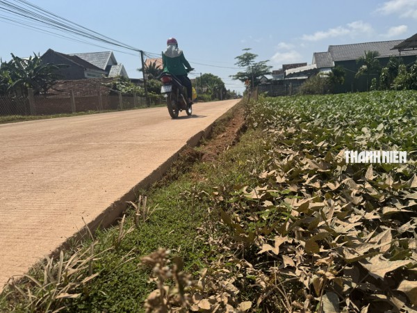 Xe tải chở đất tung hoành, người dân 'thấp thỏm' khi ra đường Xe tải chở đất tung hoành, người dân 'thấp thỏm' khi ra đường