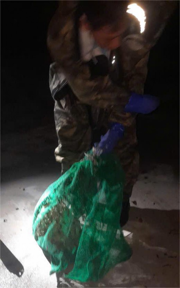 Xử lý tổ ong vò vẽ gần trường học ở xã Bình Lợi Xử lý tổ ong vò vẽ gần trường học ở xã Bình Lợi