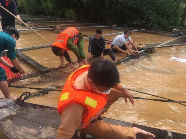 Ảnh hưởng bão số 8 khiến 755 tấn cá bè chết trên sông Đồng Nai
